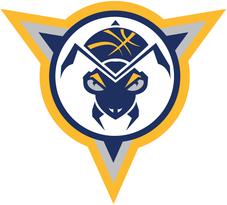 Fort Wayne Mad Ants 2017-Pres Alternate Logo iron on transfers for clothing